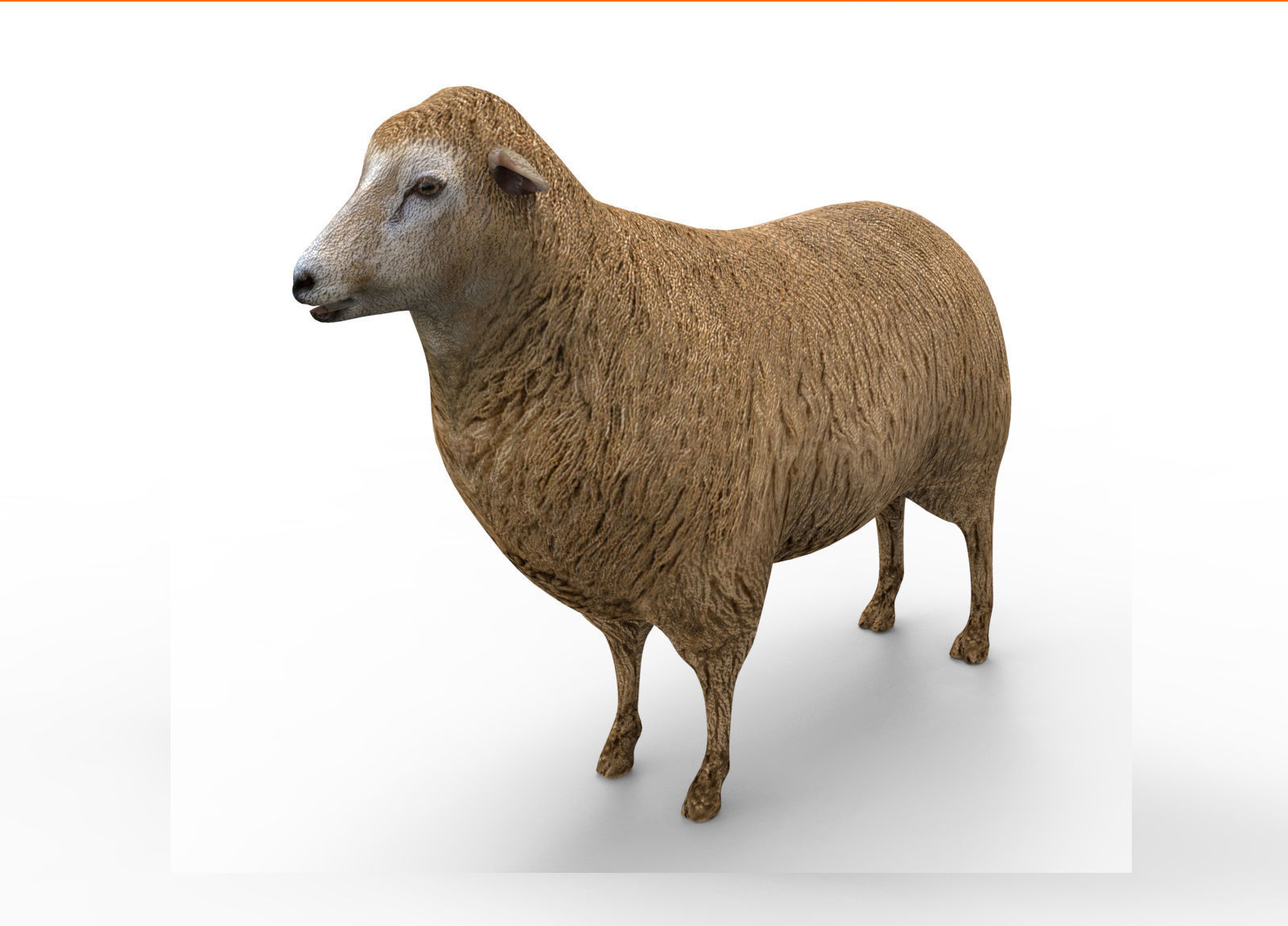 Low poly 3D Sheep Rigged Low-poly 3D model_2