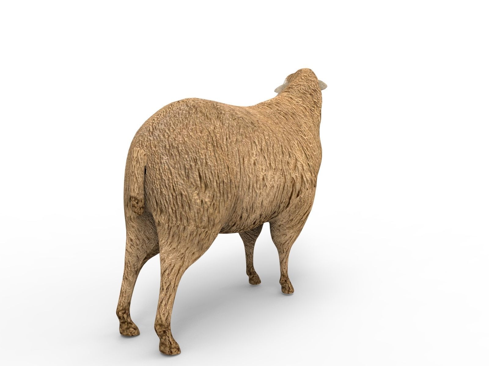 Low poly 3D Sheep Rigged Low-poly 3D model_10