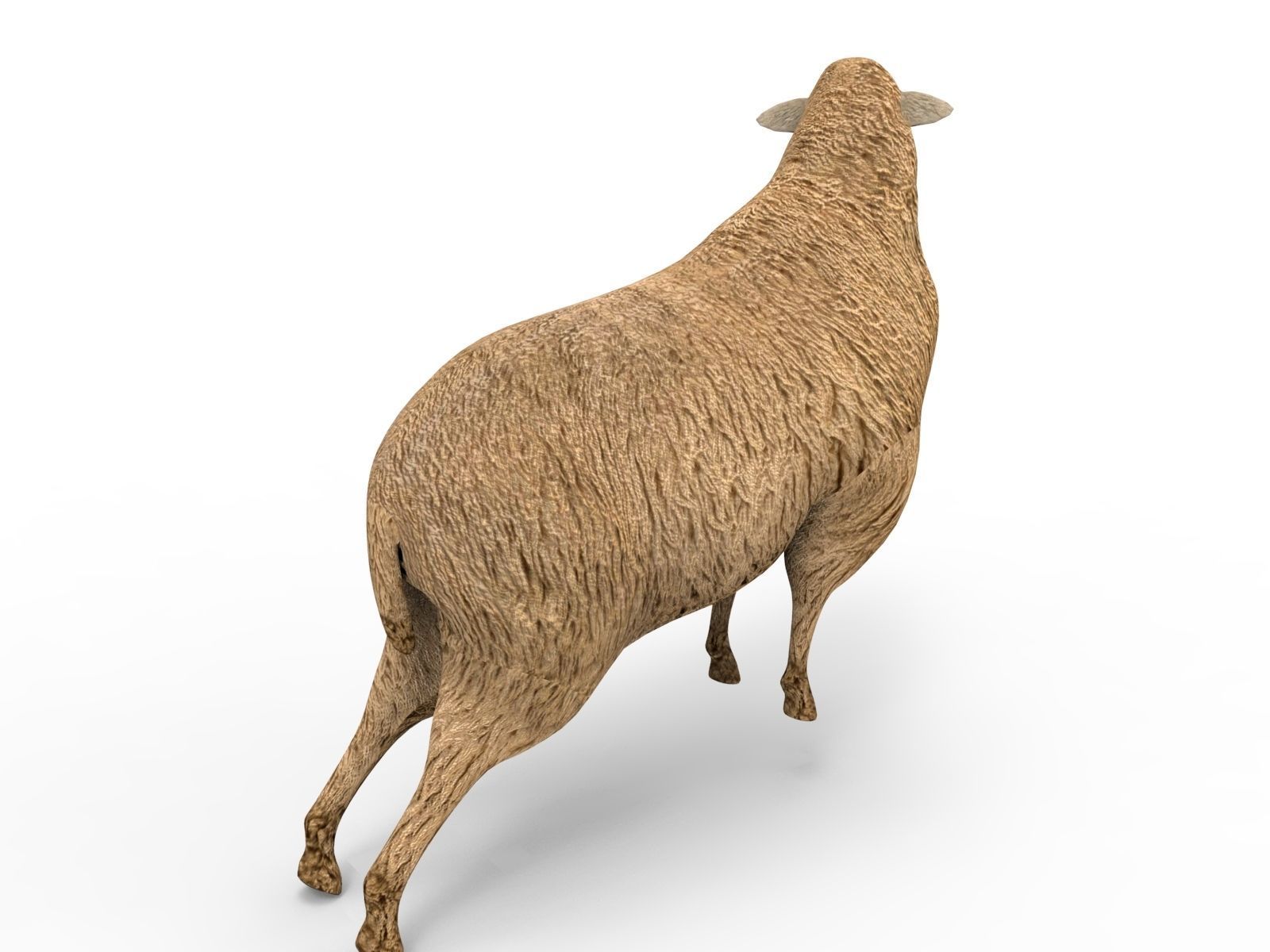 Low poly 3D Sheep Rigged Low-poly 3D model_6