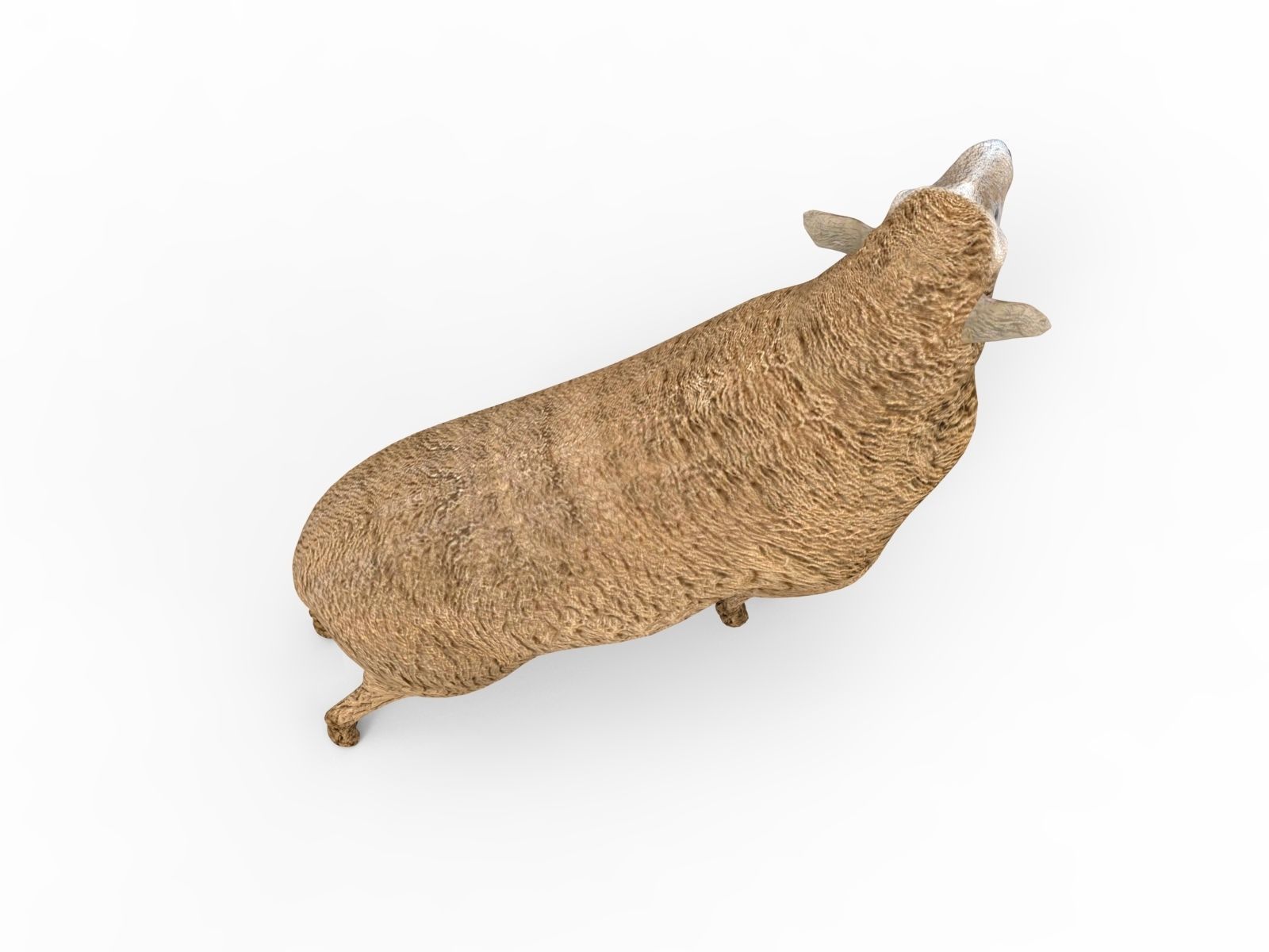 Low poly 3D Sheep Rigged Low-poly 3D model_3