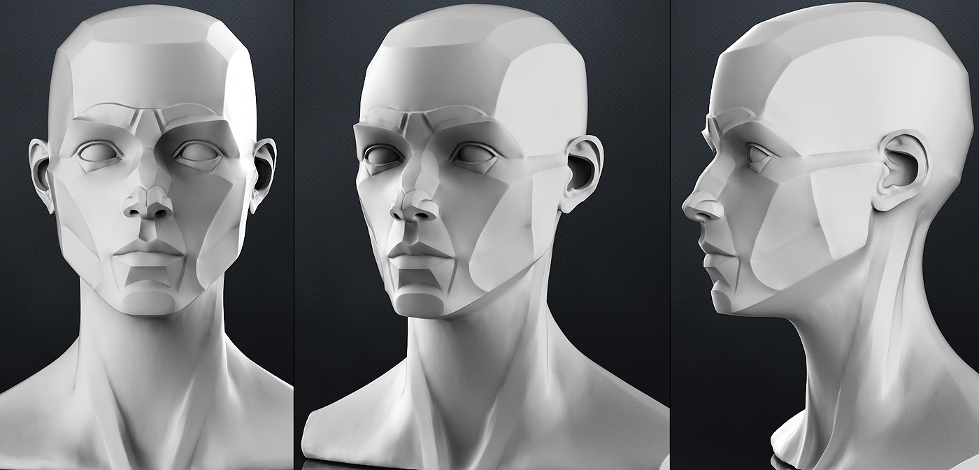 Planes of the head - Female 3D model