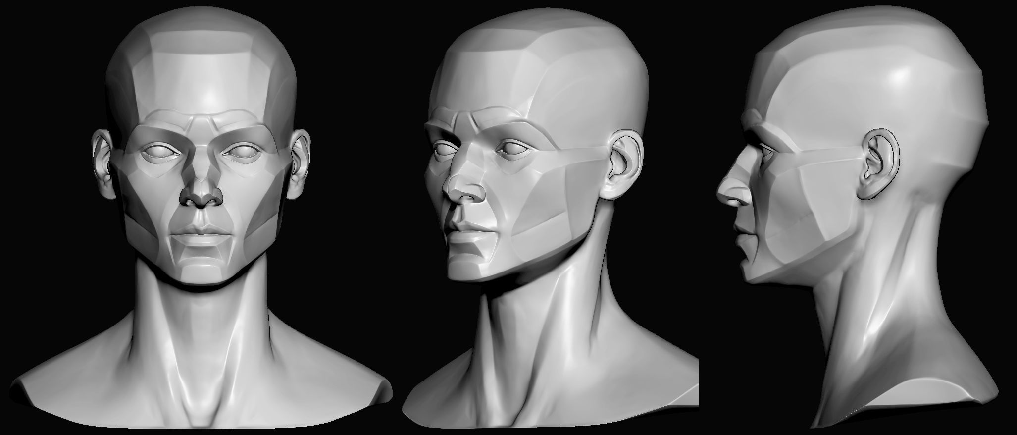 Planes of the head - Female 3D model