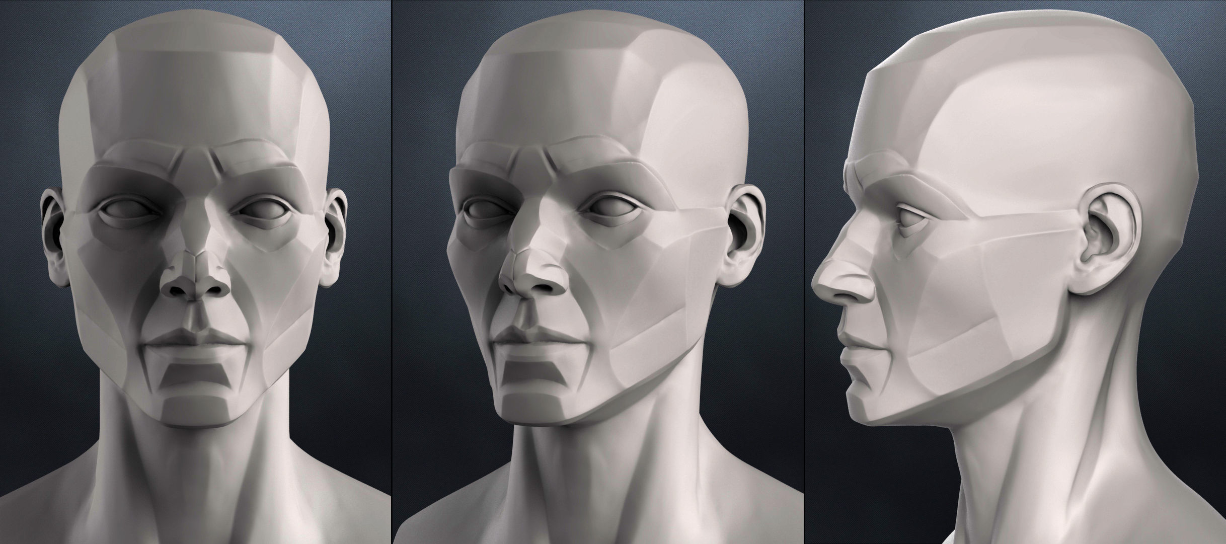 Planes of the head - Female 3D model