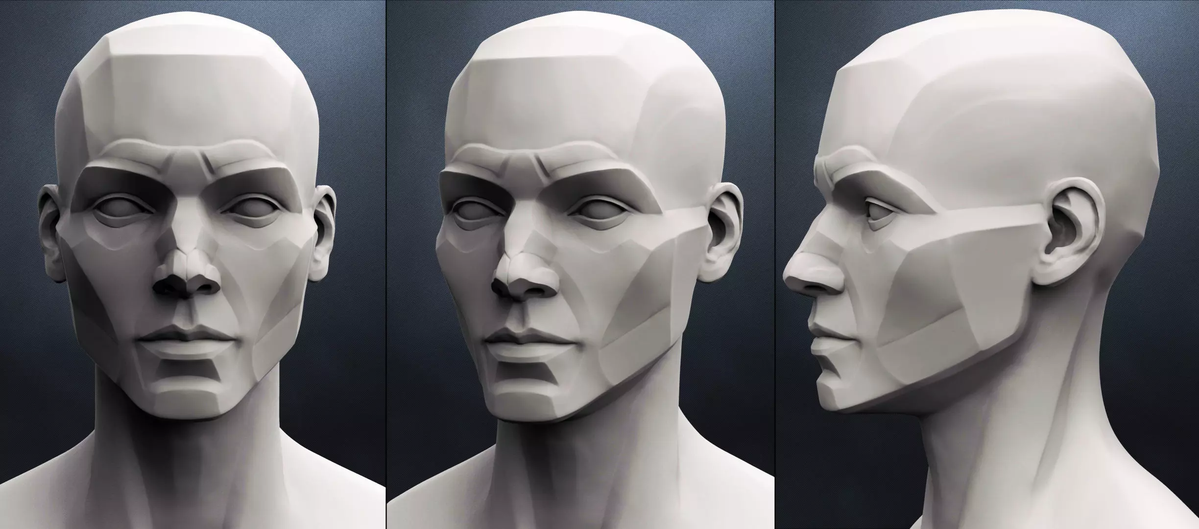 Planes of the head - Female 3D model