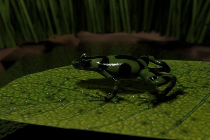 Grenouille-Frog frog on leaf 3D model_1