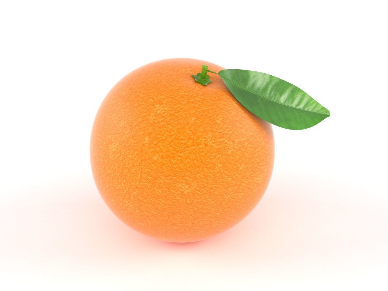 Orange Fruit 3D model_4