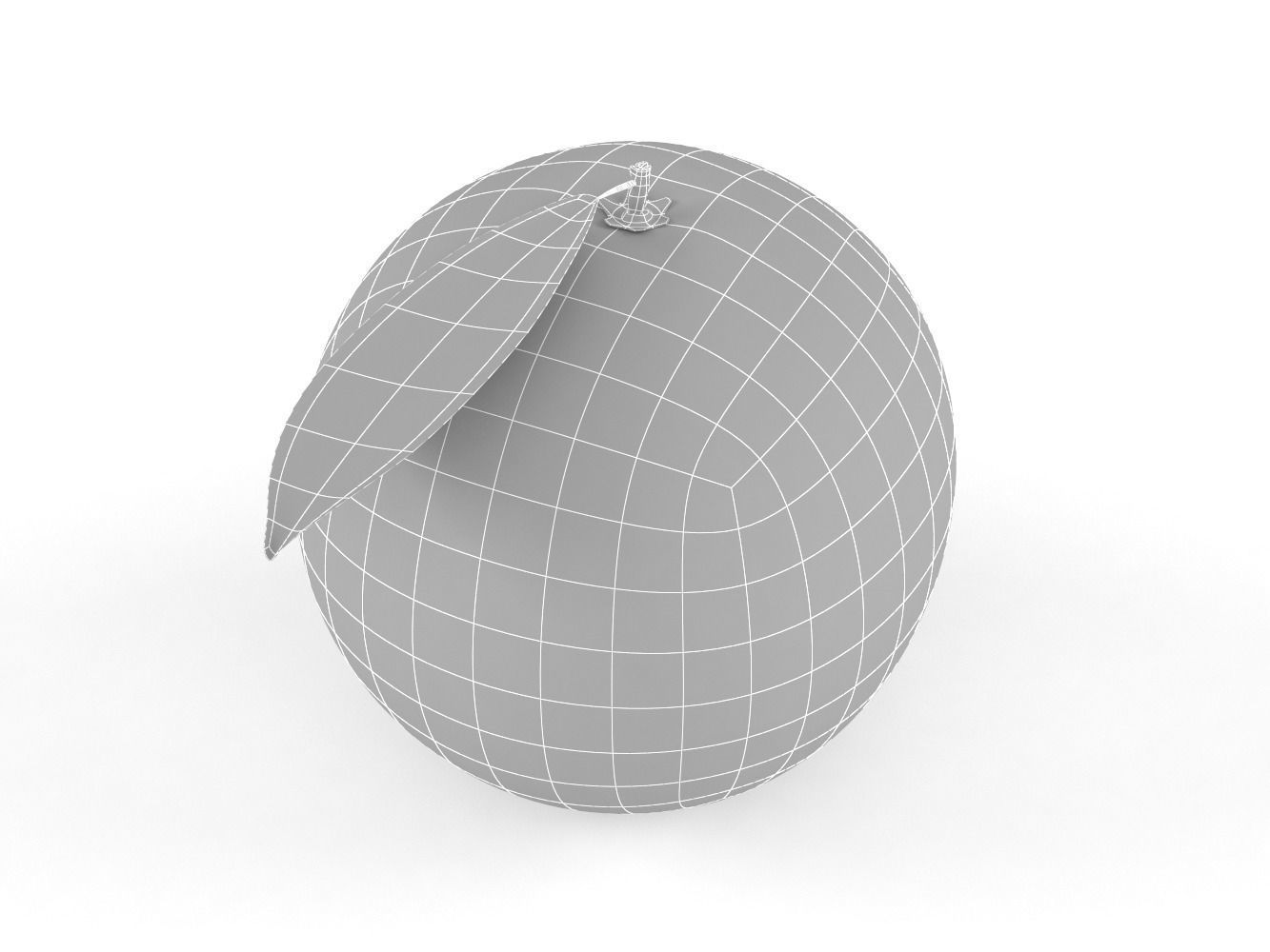 Orange Fruit 3D model_6