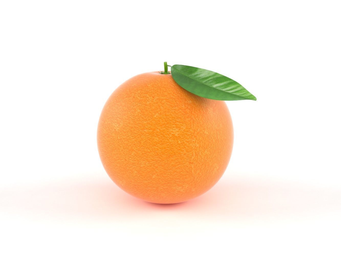 Orange Fruit 3D model_1