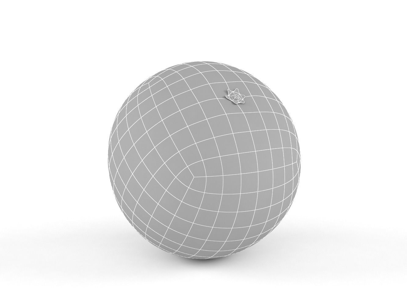 Orange Fruit 3D model_8