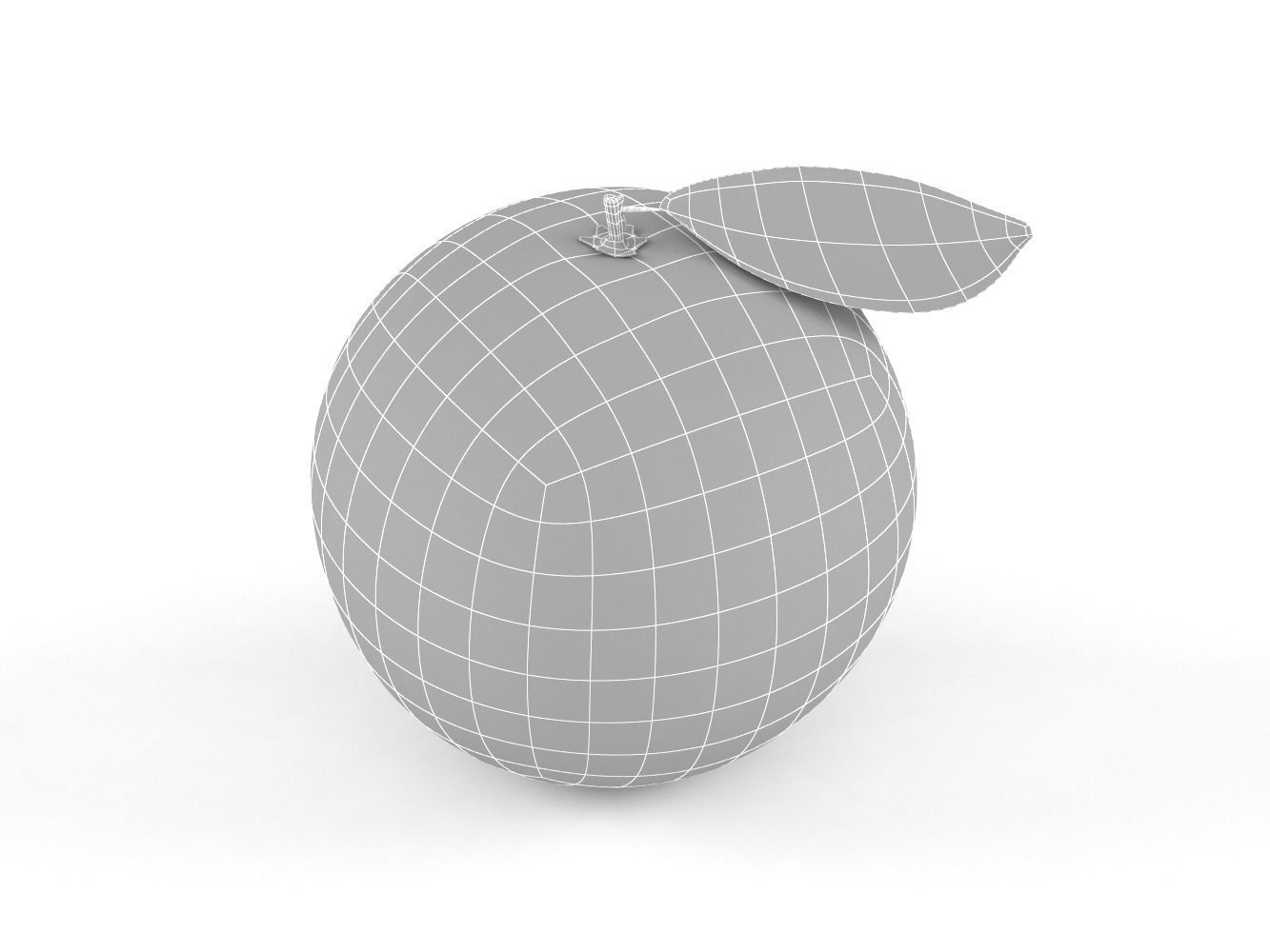 Orange Fruit 3D model_7
