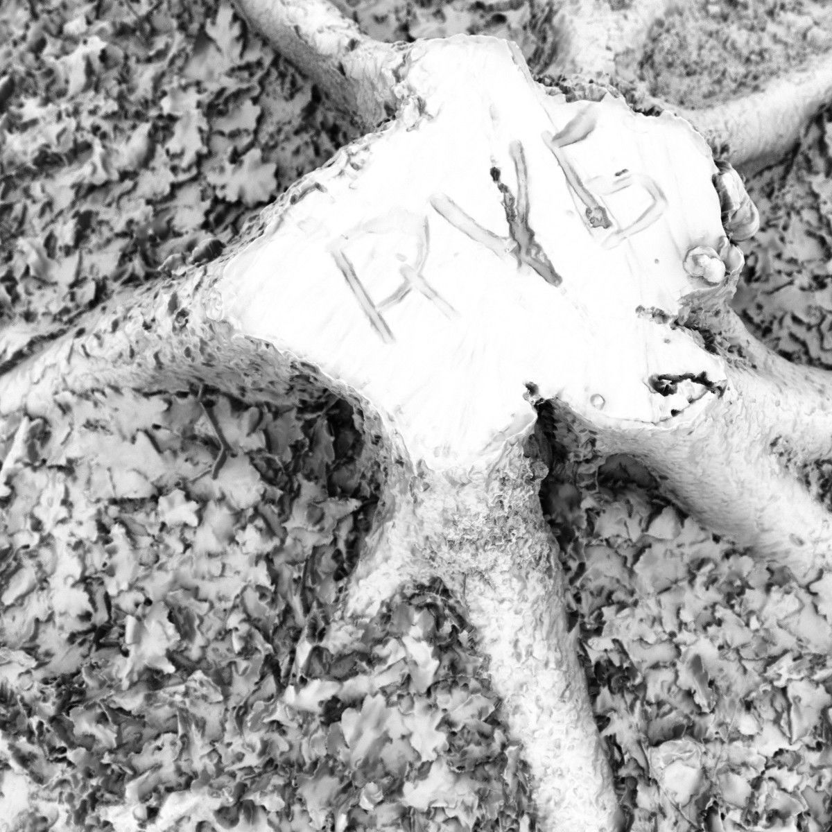 Moss covered tree stump Low-poly 3D model_5