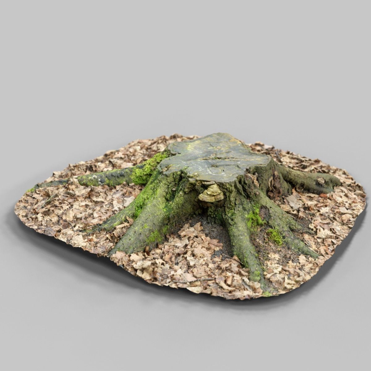 Moss covered tree stump Low-poly 3D model_9