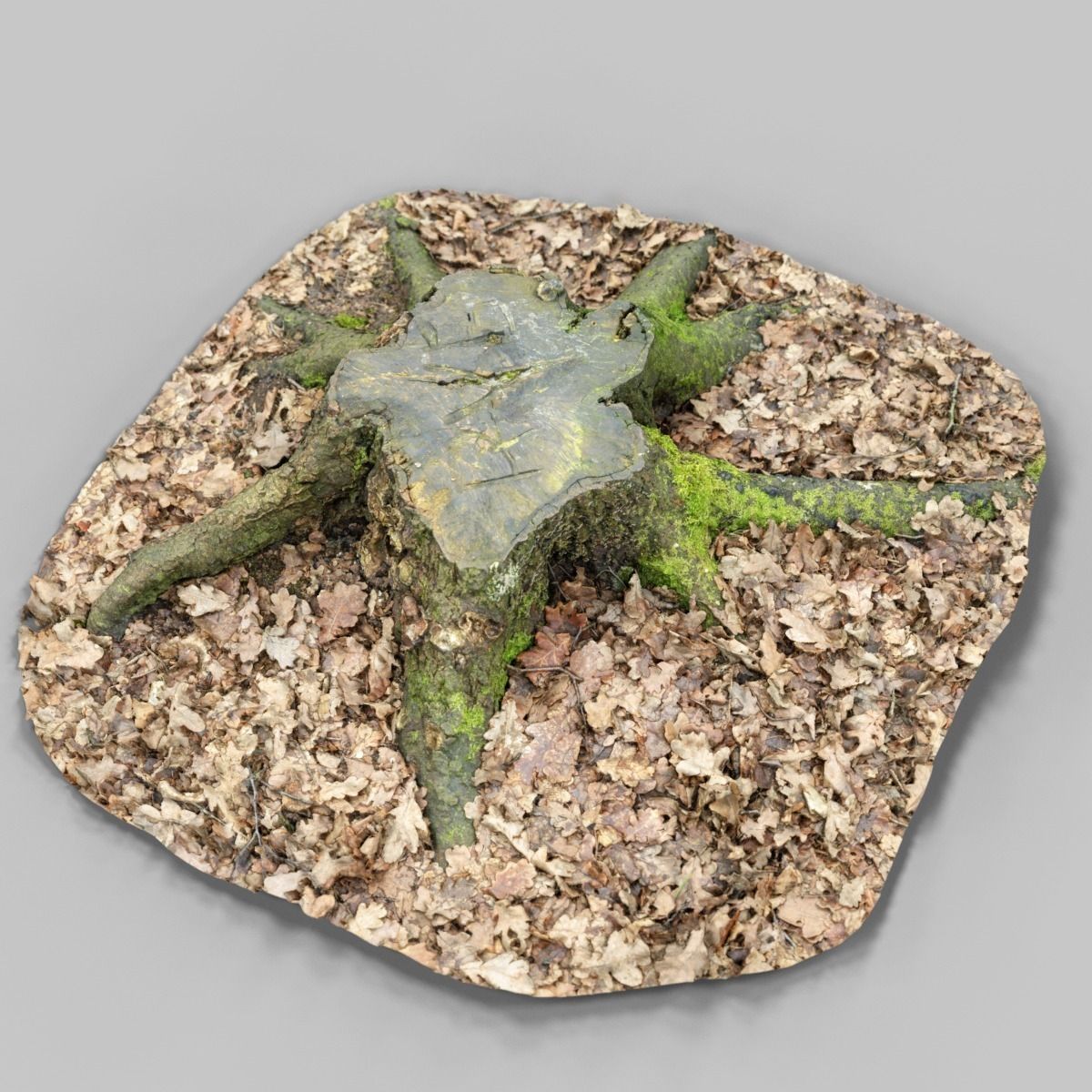 Moss covered tree stump Low-poly 3D model_11