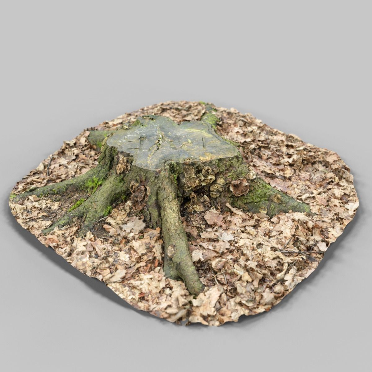 Moss covered tree stump Low-poly 3D model_6
