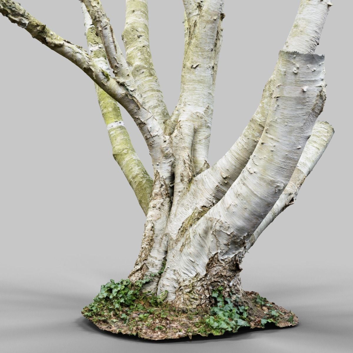 Paper tree 3D scan Low-poly 3D model_9
