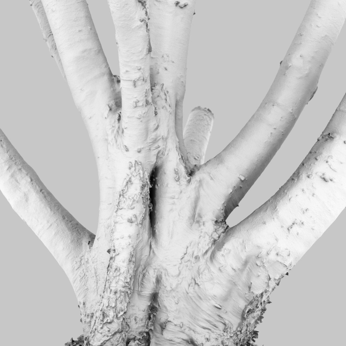 Paper tree 3D scan Low-poly 3D model_10