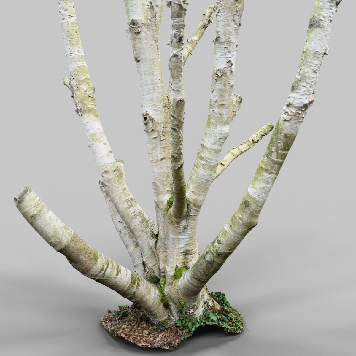 Paper tree 3D scan Low-poly 3D model_12
