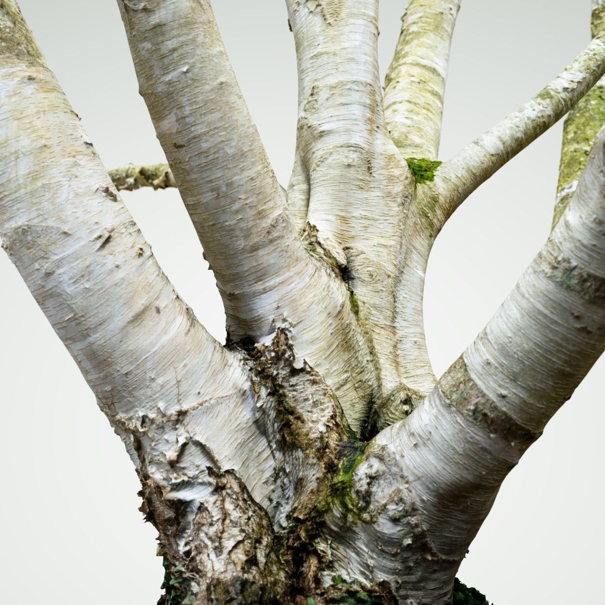 Paper tree 3D scan Low-poly 3D model_4