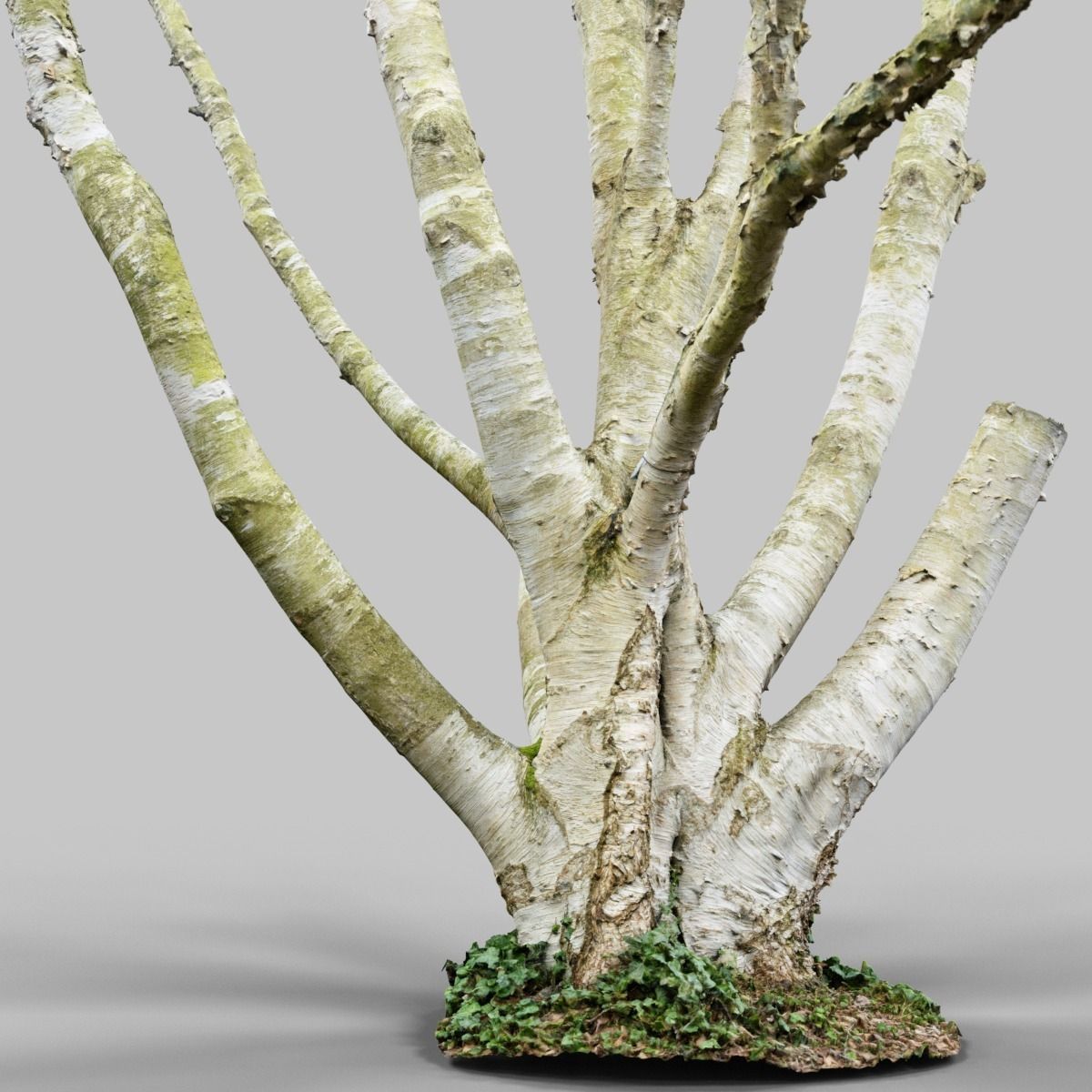 Paper tree 3D scan Low-poly 3D model_6