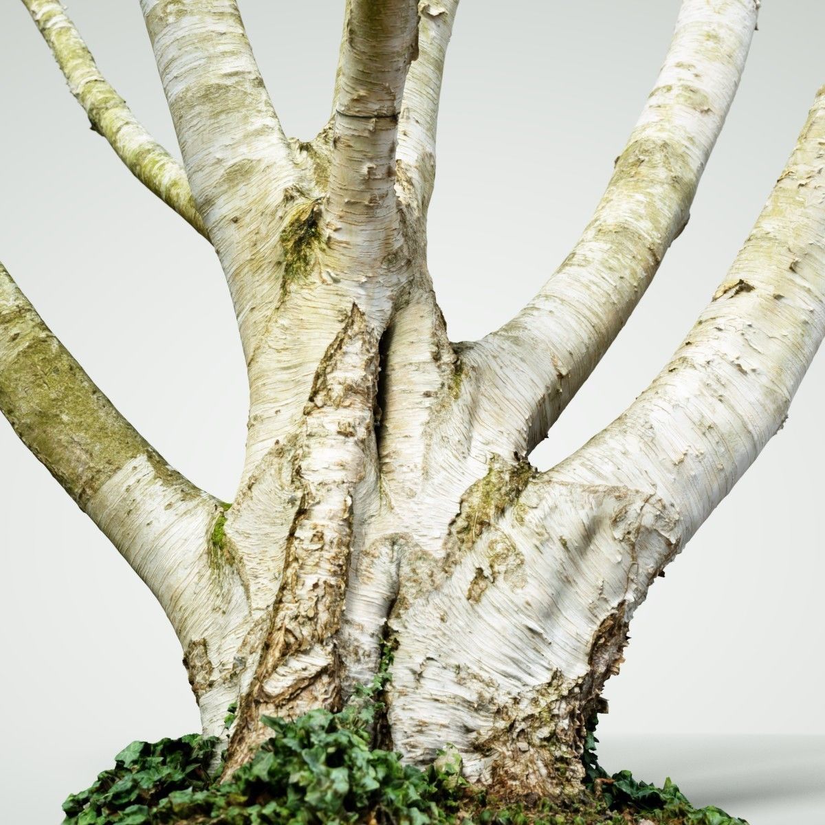 Paper tree 3D scan Low-poly 3D model_3