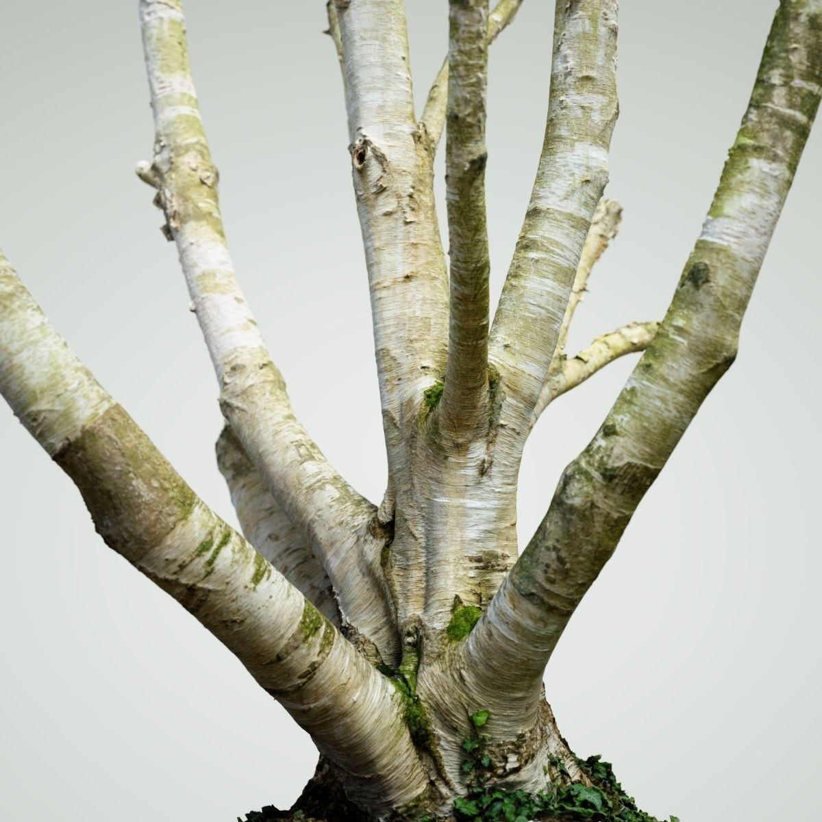 Paper tree 3D scan Low-poly 3D model_1