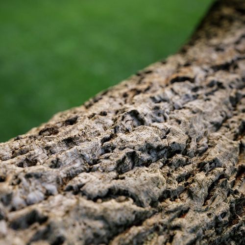 3D photoscanned Bark Asset Low-poly 3D model