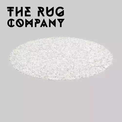 CARPET round shaggy rug