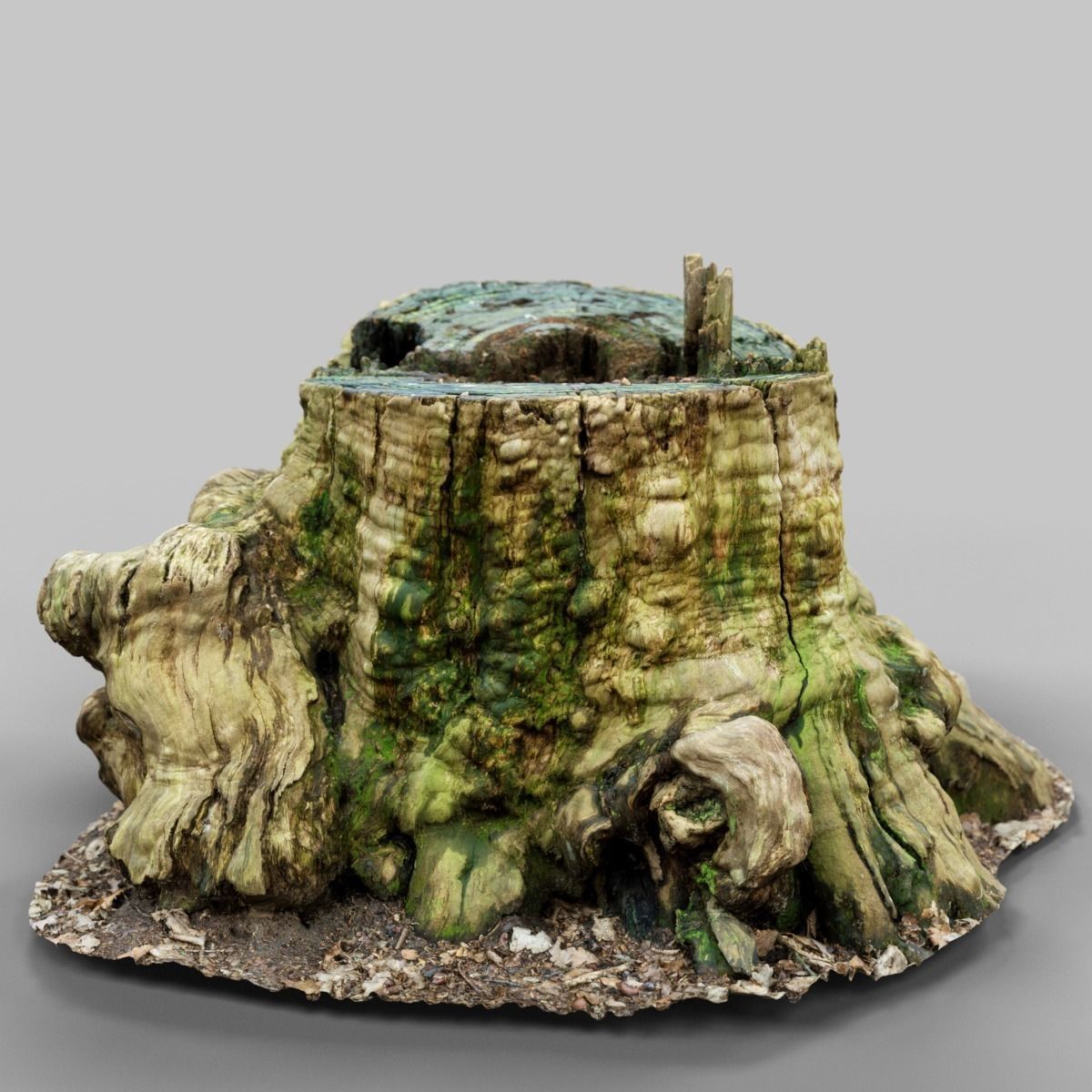 Realistic tree root stump Low-poly 3D model_11