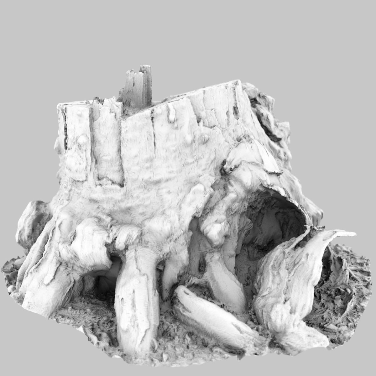 Realistic tree root stump Low-poly 3D model_8