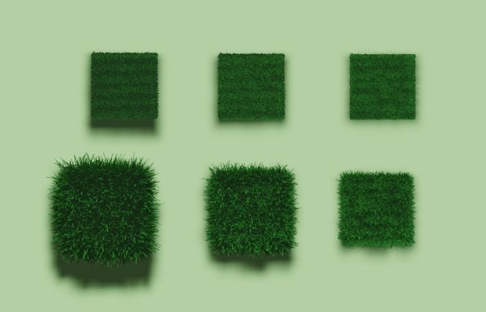 Grass pack Low-poly 3D model_1