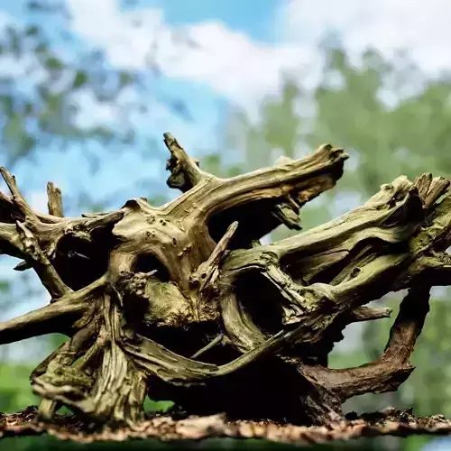 Tree roots stump 3d scan Low-poly 3D model