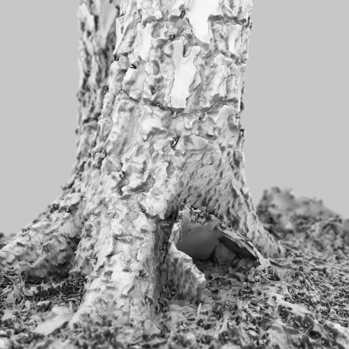 Split Tree foundation Low-poly 3D model_6