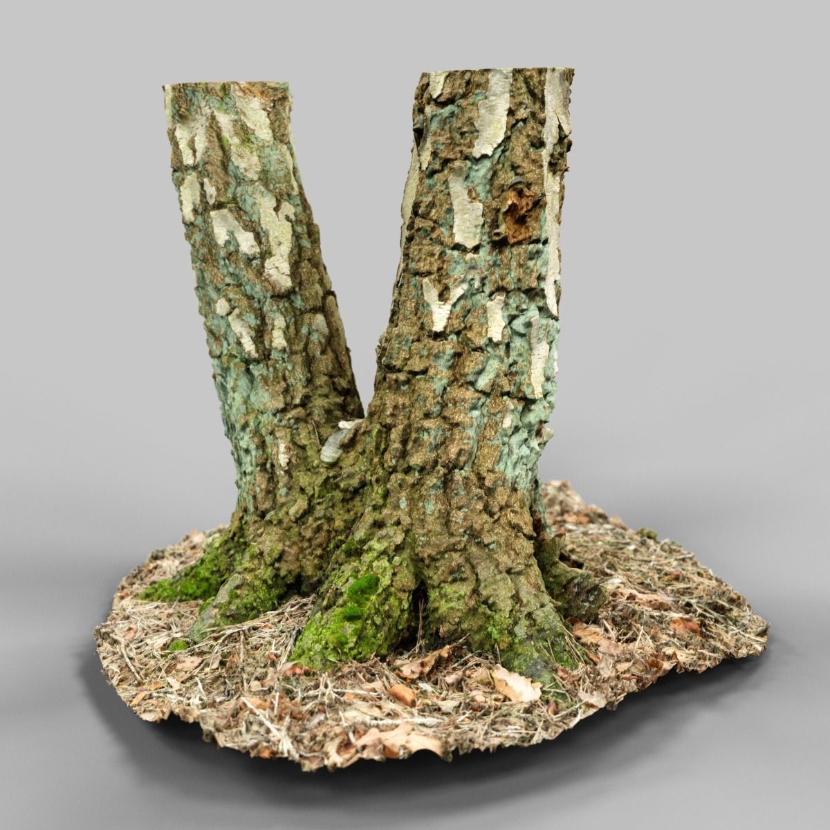 Split Tree foundation Low-poly 3D model_1
