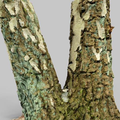 Split Tree foundation Low-poly 3D model