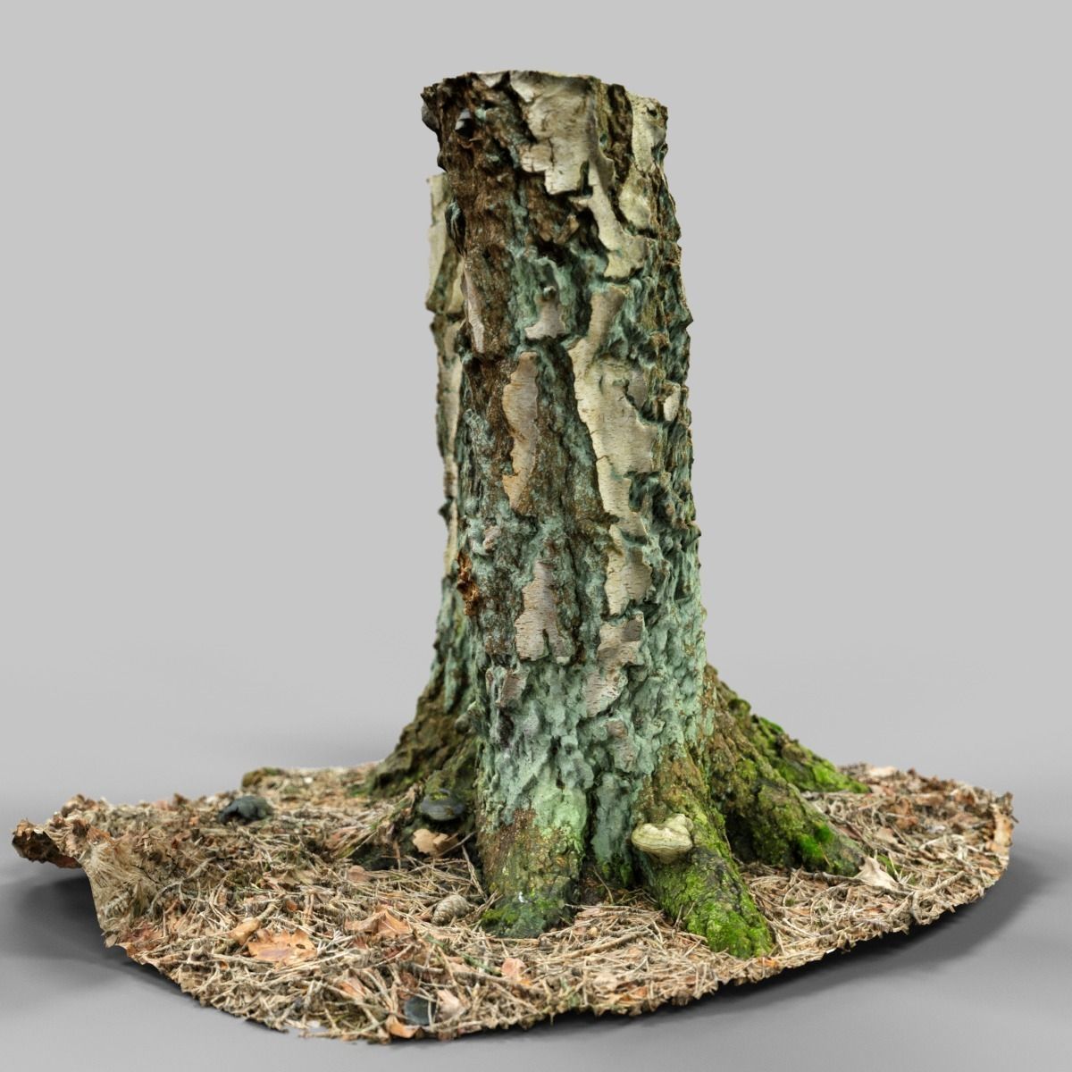 Split Tree foundation Low-poly 3D model_5