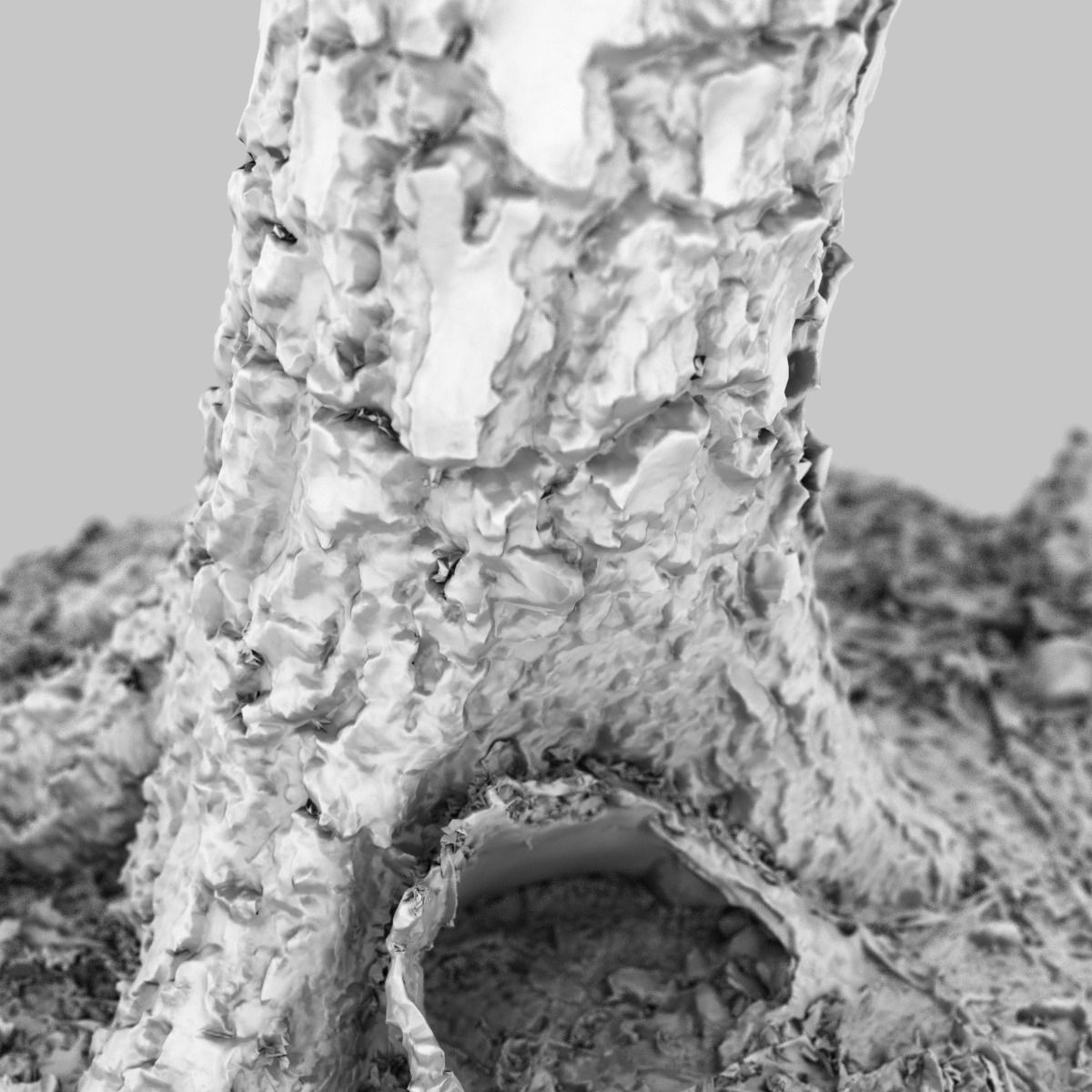 Split Tree foundation Low-poly 3D model_3