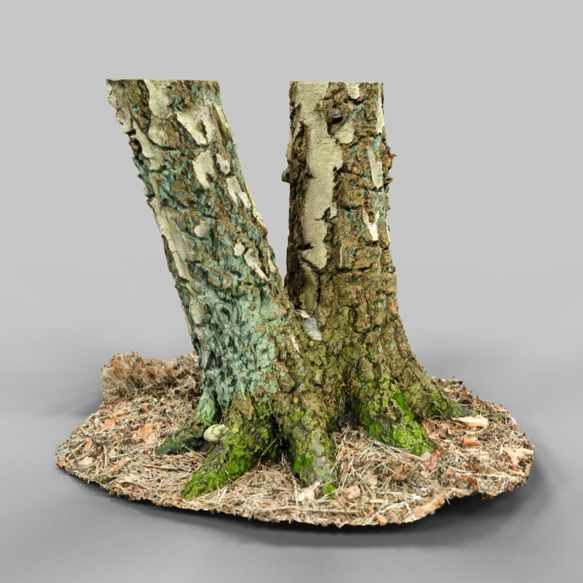Split Tree foundation Low-poly 3D model_7