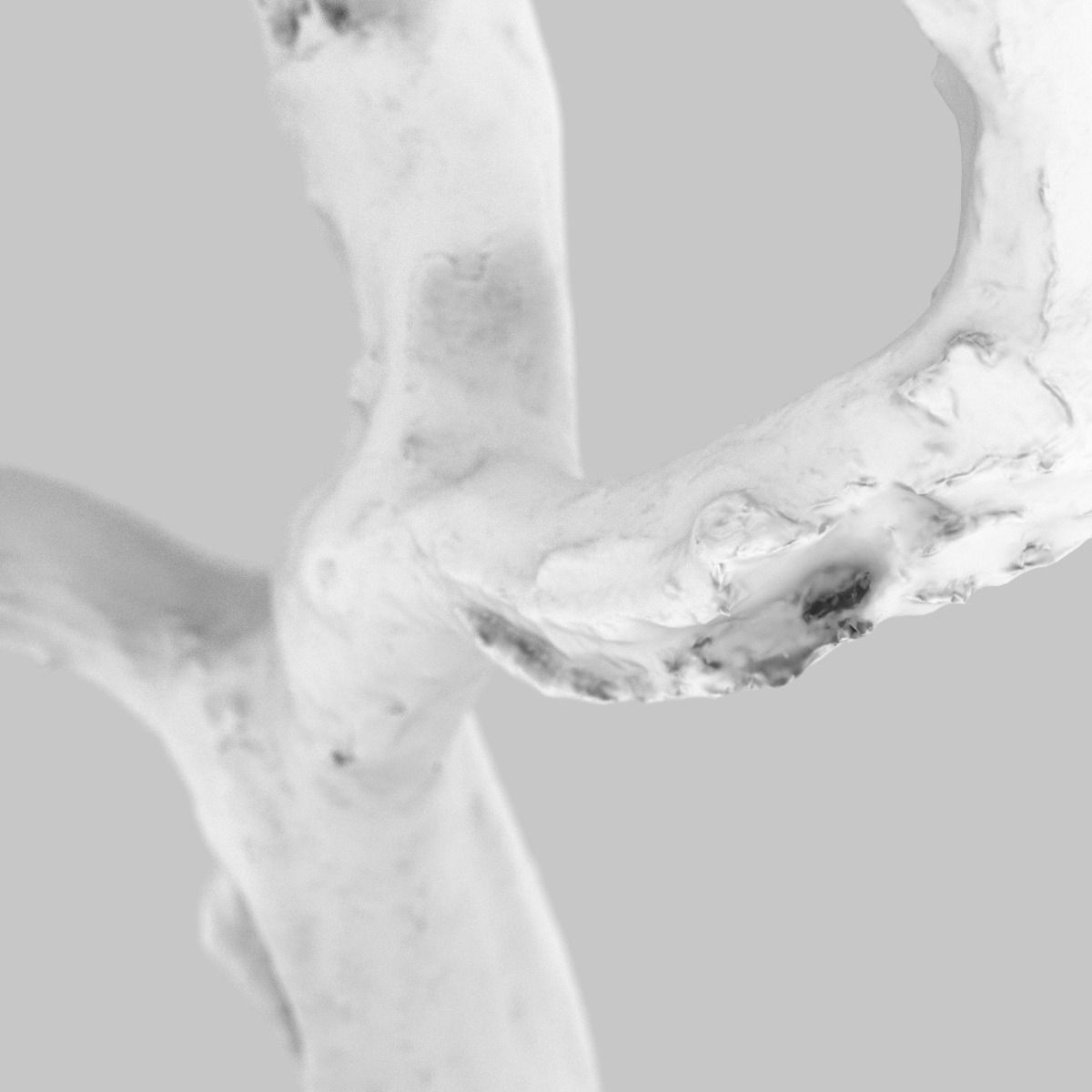 Curly tree Scan Low-poly 3D model_11