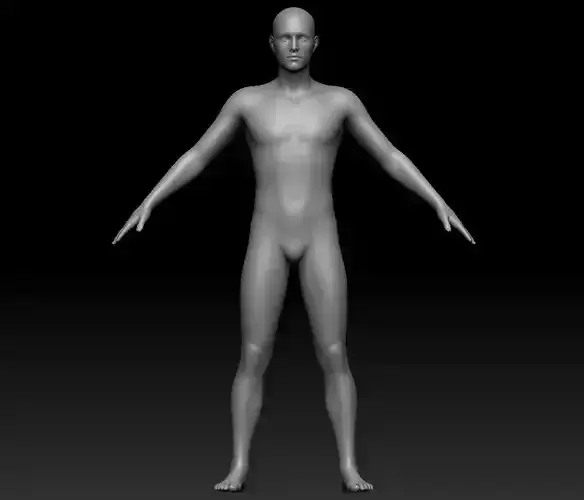 male base mesh and Rigged 3D model