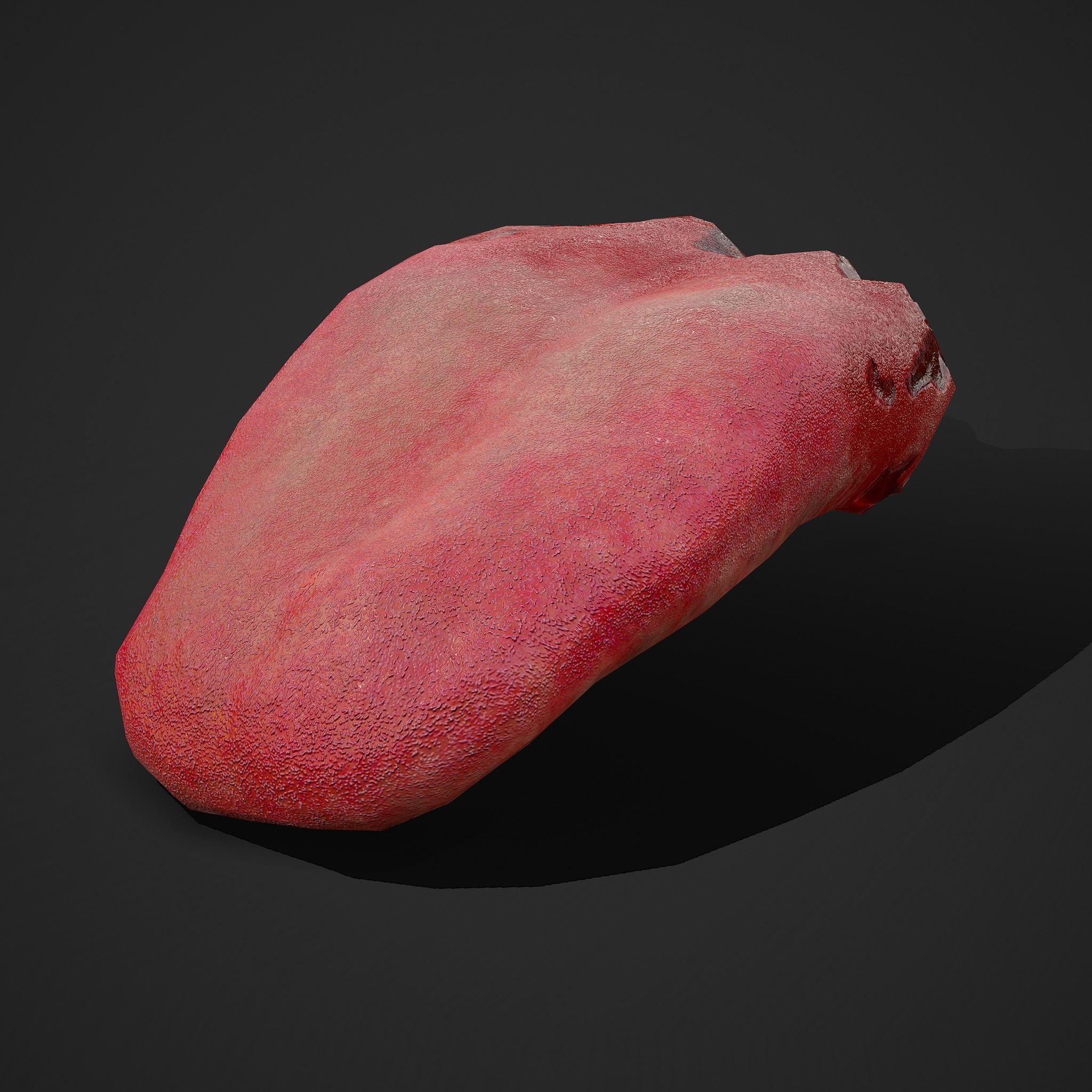 Severed Tongue  Low-poly 3D model_20