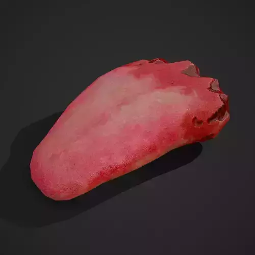 Severed Tongue  Low-poly 3D model