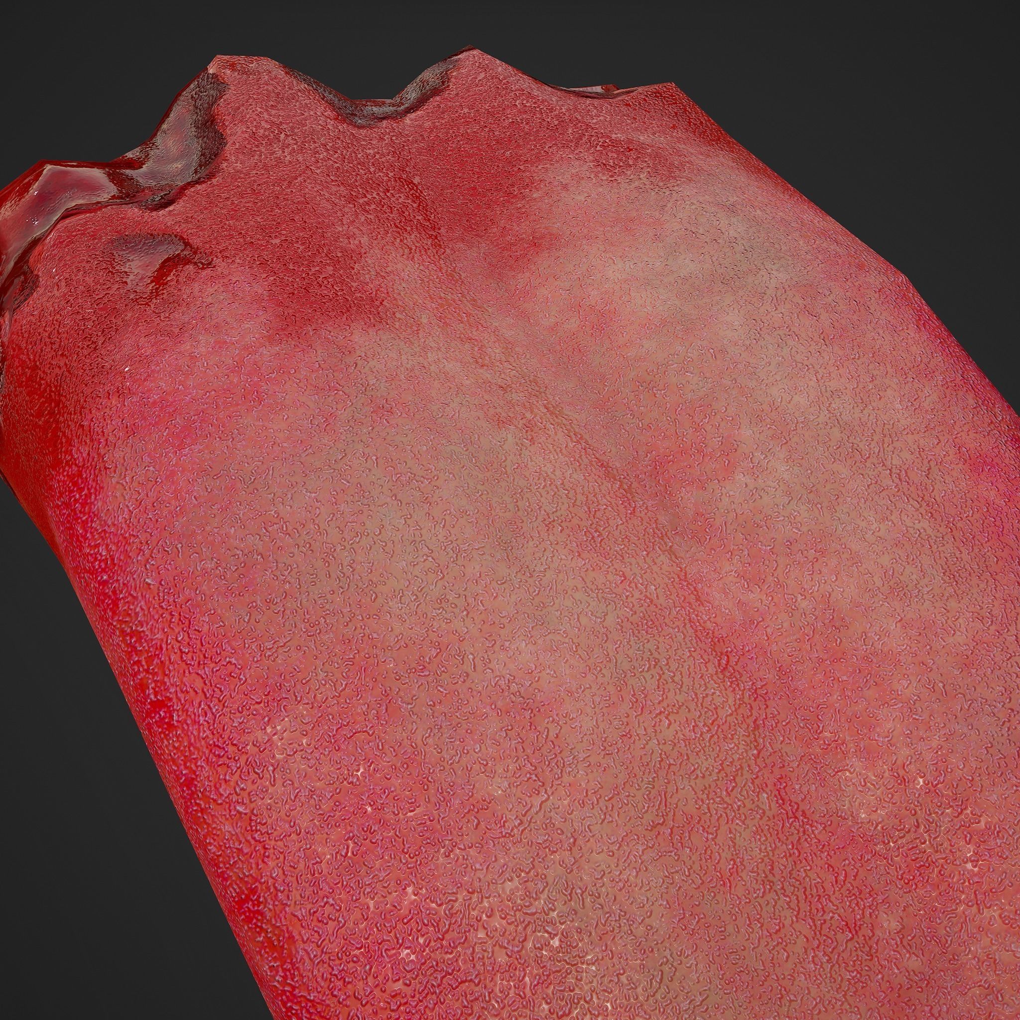 Severed Tongue  Low-poly 3D model_18
