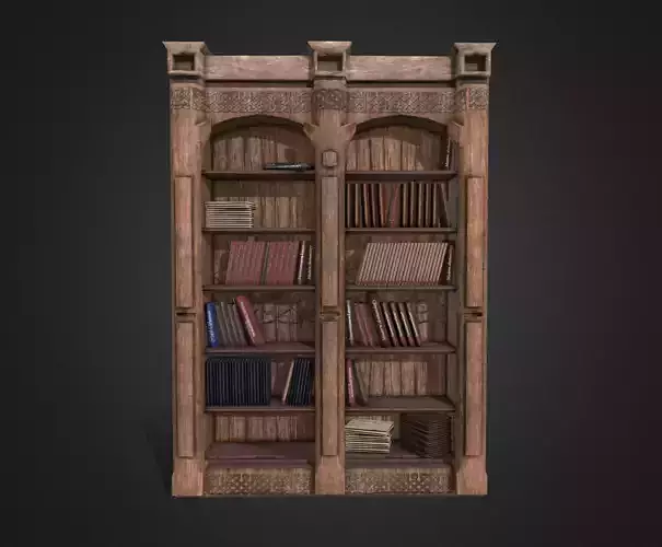 Old Bookshelf