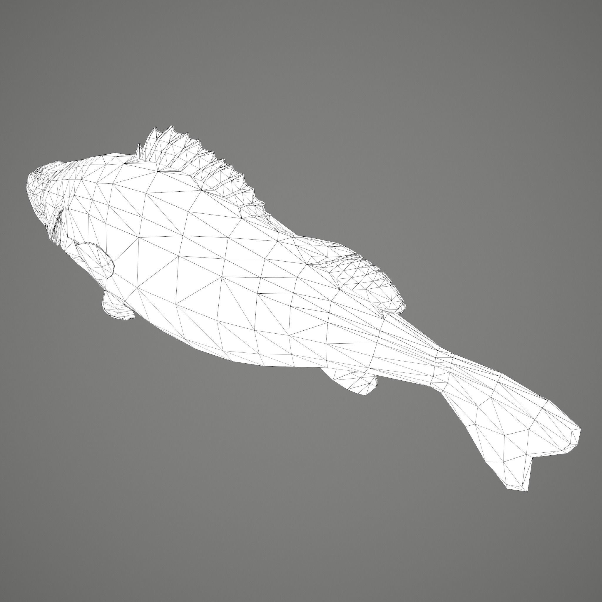 Perch fish Low-poly 3D model_38