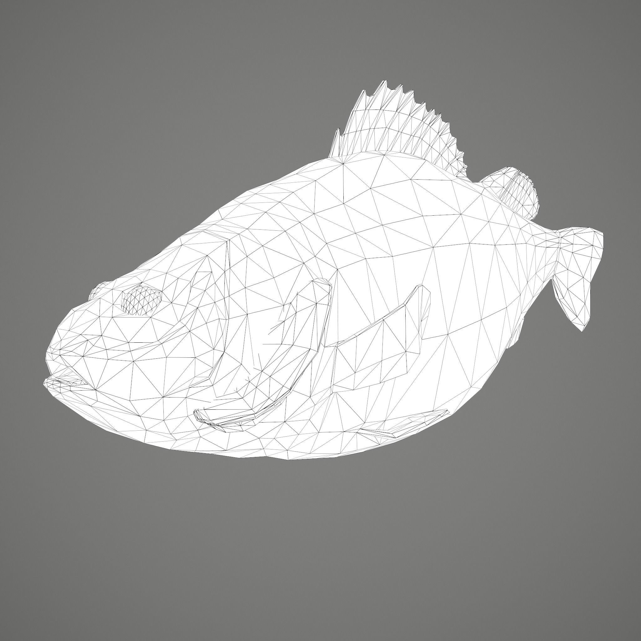 Perch fish Low-poly 3D model_27