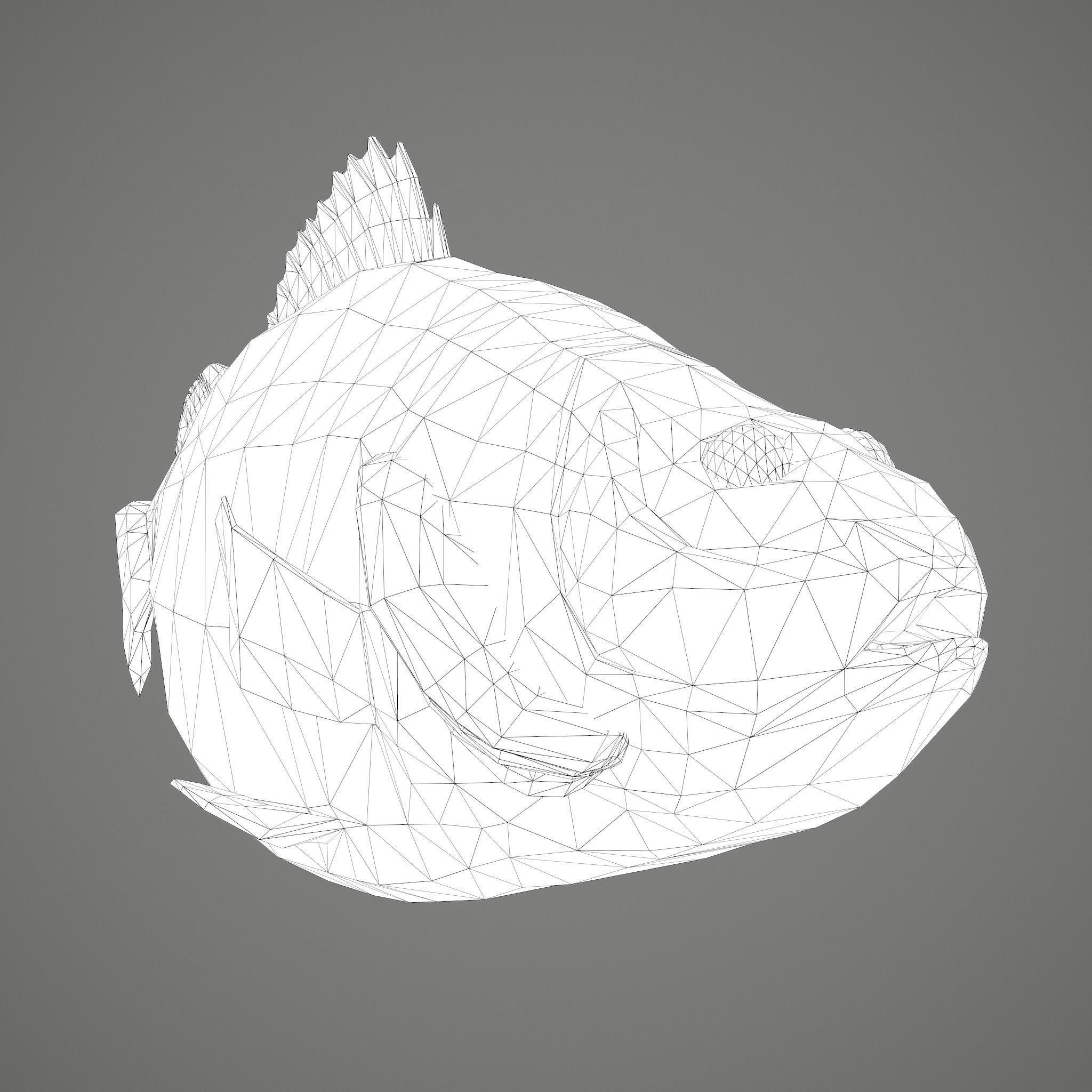 Perch fish Low-poly 3D model_30