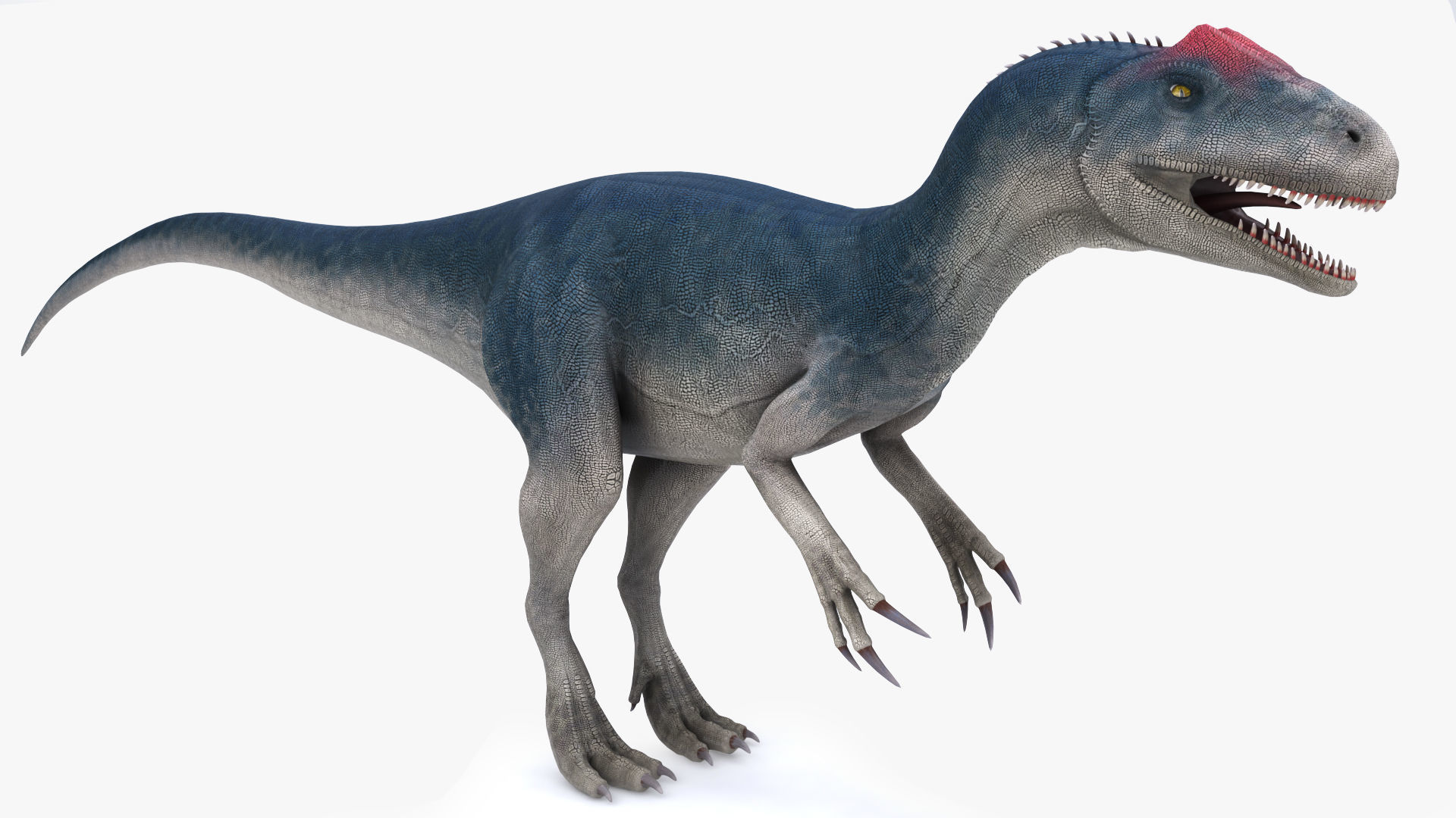 Dinosaur Allosaurus Low-poly 3D model_13