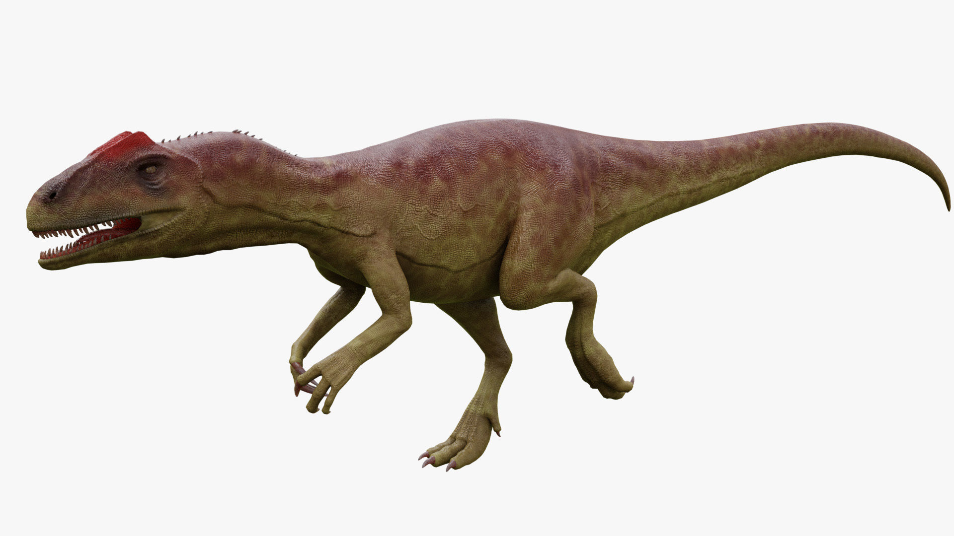 Dinosaur Allosaurus Low-poly 3D model_2