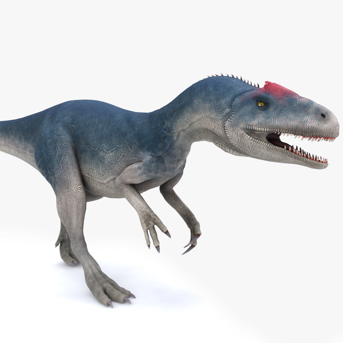Dinosaur Allosaurus Low-poly 3D model_11
