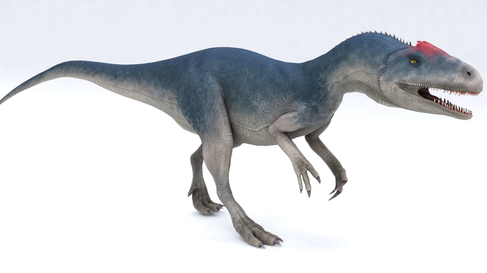 Dinosaur Allosaurus Low-poly 3D model_14